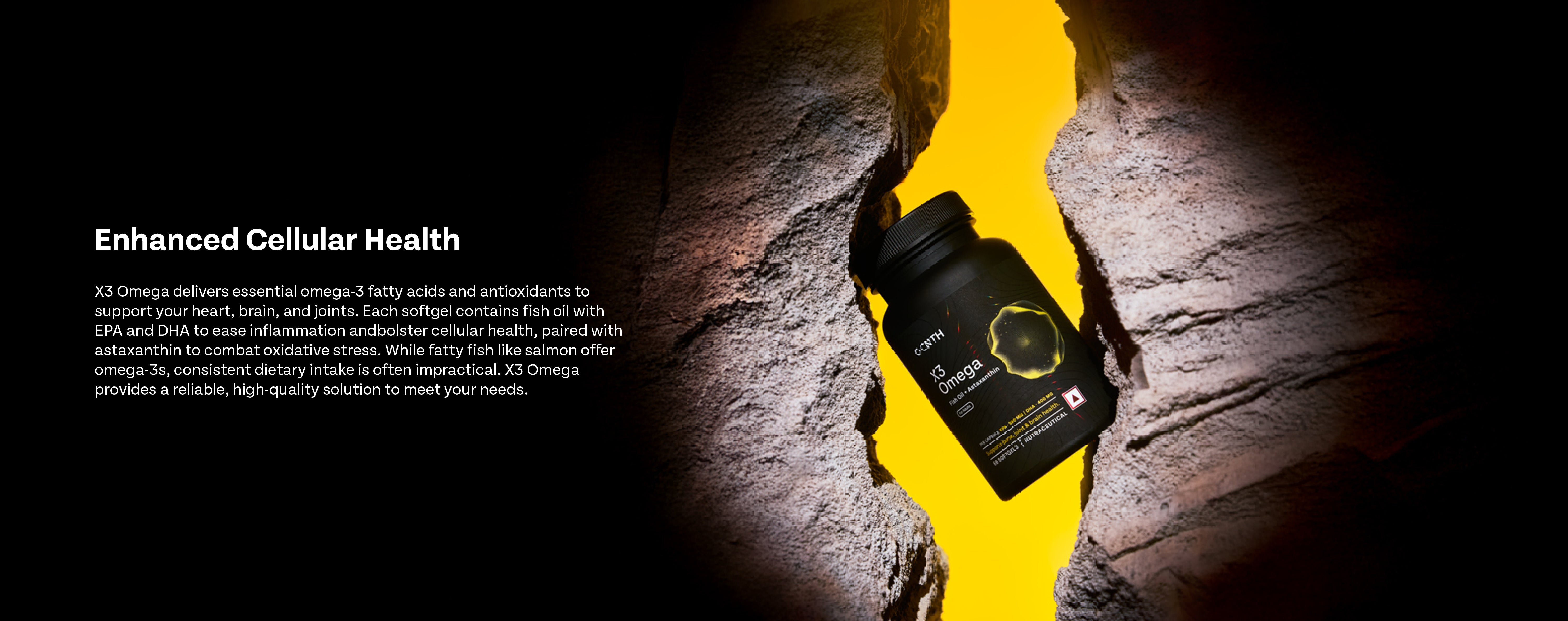 About the Product